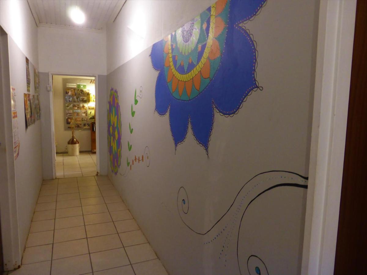 Orange Elephant Backpackers Hostel Addo Exterior photo